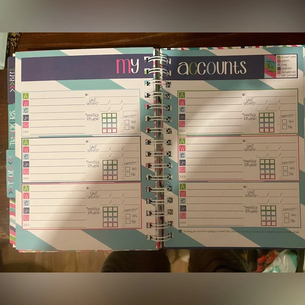 Denise Albright Budget Binder™ Bill Tracker Financial Planner | Geo Design. NEW